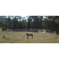 Livestock Galvanized Cattle Fence Panel